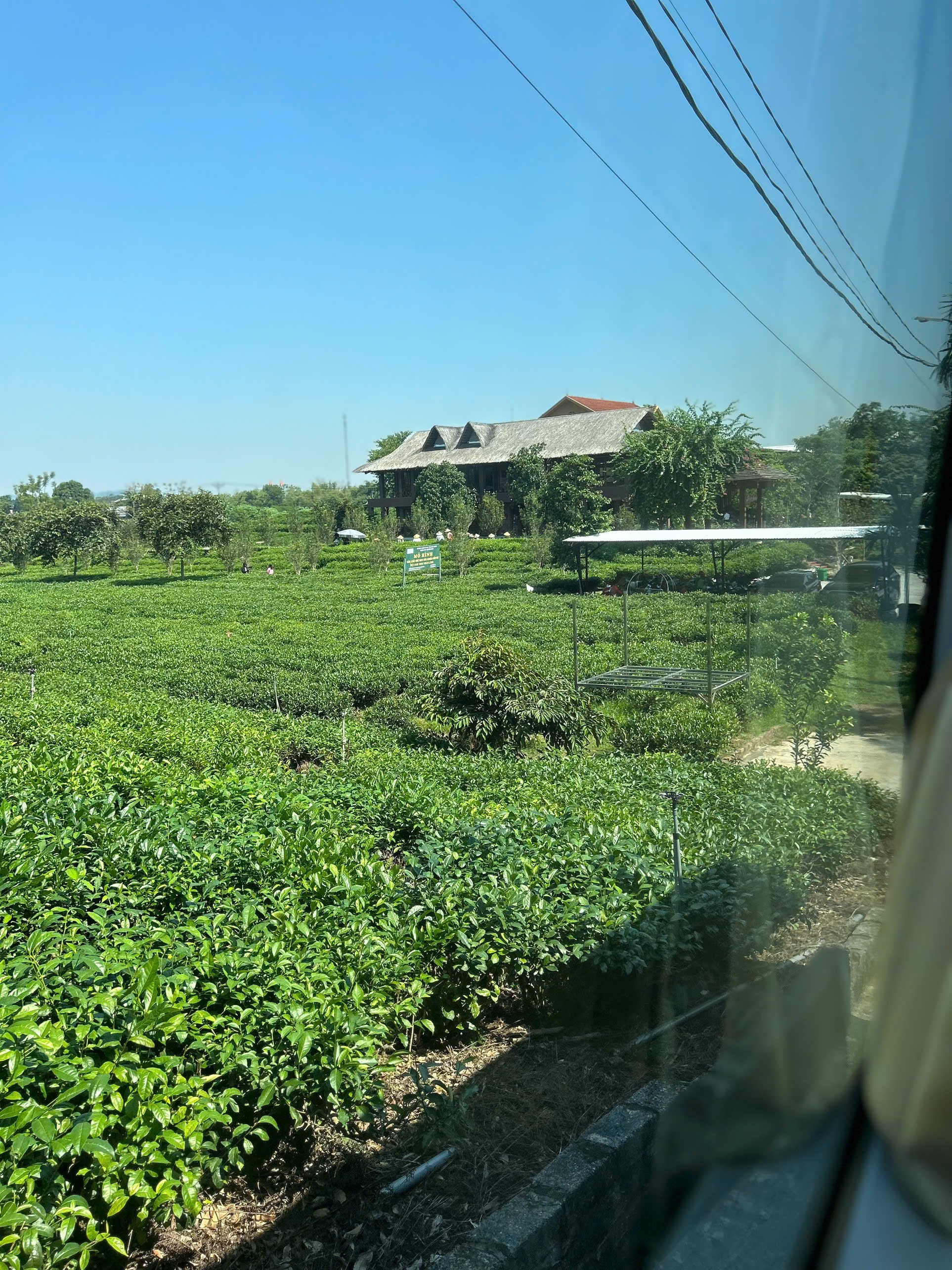 Tour Hà Nội - Thái Nguyên - Dũng Tân 1 ngày 3